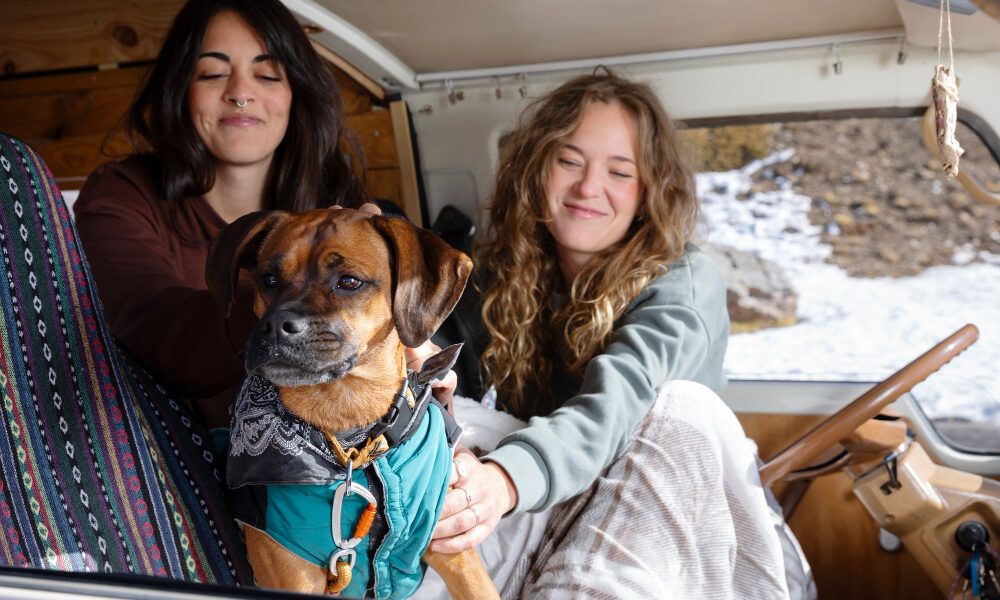 Viajar con mascotas en autocaravana_ lo que necesitas saber