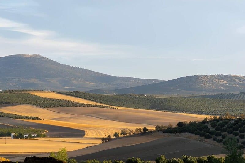 Campiña andaluza